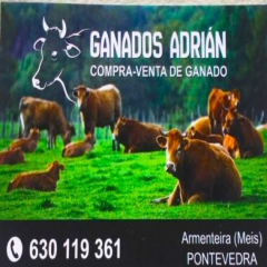 A_3394_M_3445_3421_GANADOS ADRIAN.jpg
